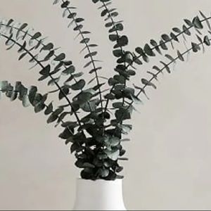 Meet your Posher, Gabriella